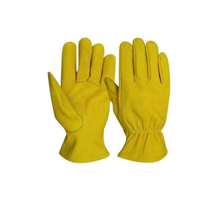 Driving Glove - Image 1